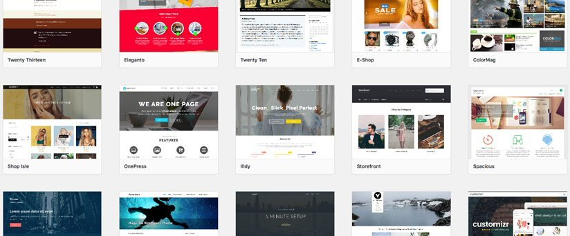 Wordpress CMS numerosi plugin e temi